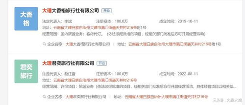 大理大香格旅行社業(yè)務(wù)經(jīng)營(yíng)許可證被吊銷(xiāo)，國(guó)內(nèi)旅游業(yè)務(wù)受重創(chuàng)