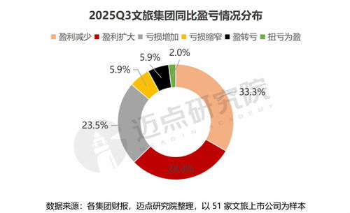2025年第三季度文旅集團國內旅游業(yè)務財務分析報告